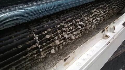 Mold on AC evaporator — why AC cleaning matters in the Cyprus humid climate